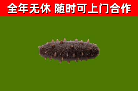 大宁县烟酒回收干海参.jpg